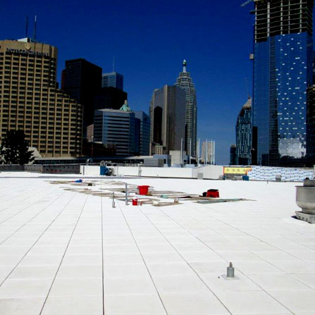 Ripley's Aquarium of Canada in Toronto, ON - Close