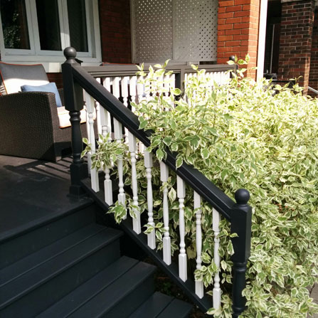 Deck repainting in Leslieville in Toronto, Ontario